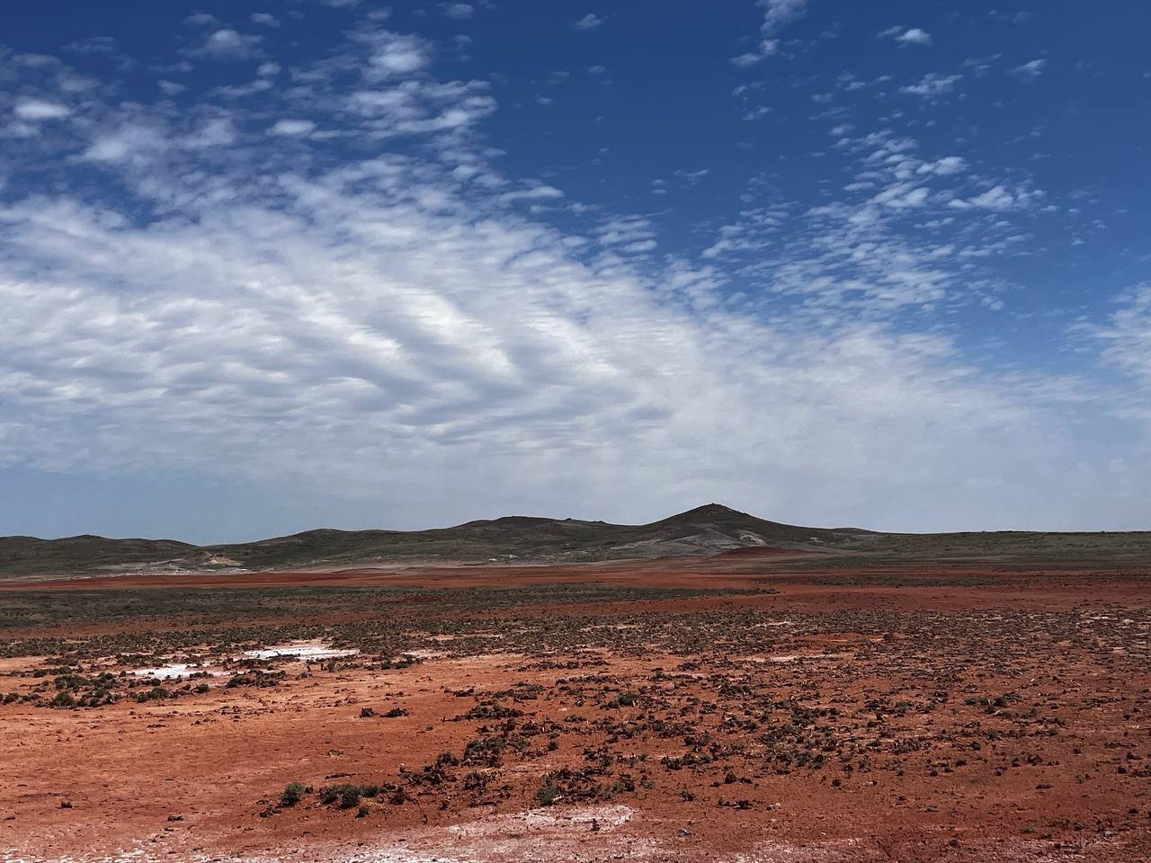 Regional steppe and target ridgelines across the Balkhash Arc